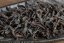 Phoenix Mi Lan Xiang High Mountain Spring 2025 - 8g