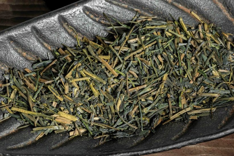 Kagoshima Ao Hojicha Kaguwashi 2025 - 50g
