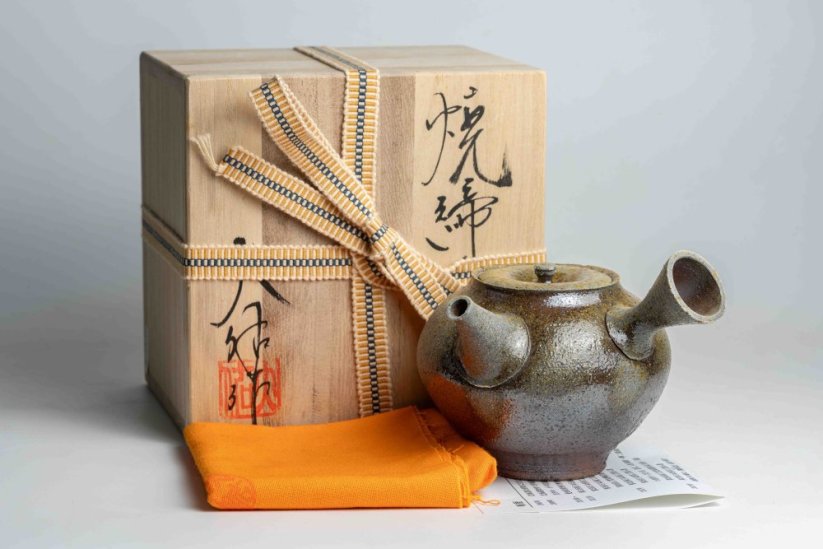 Taisuke Shiraiwa Yohen Kyusu  - 240ml