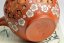 Shunen Mano Double-layer Red Plum Blossom Kyusu - 250 ml