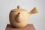 Shinzan Morioka Vintage Kyusu - 250ml