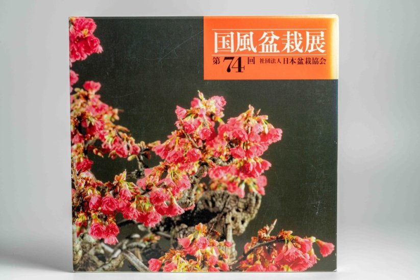 Kokufu Ten  Exhibit Books - Ročník: No.81