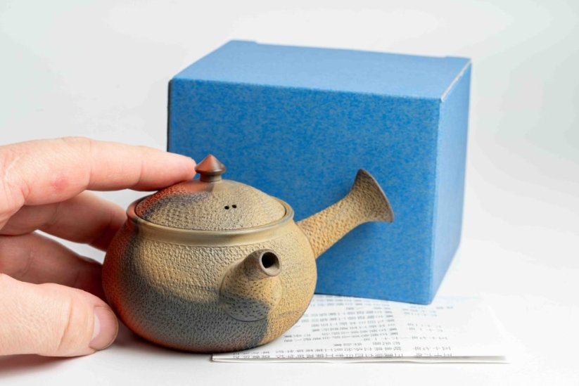 Mori Iroku IV Yohen Kyusu - 130ml