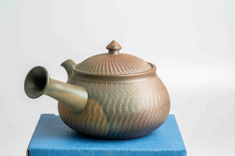 Mori Iroku IV Yohen Kyusu - 150ml