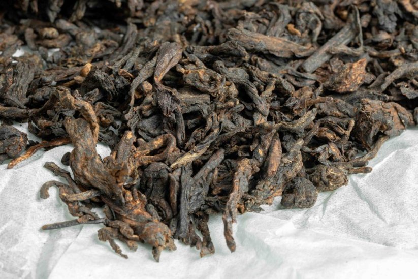 Dark Raven - Chiang Rai Gushu Shu Cha 2025 - 100g
