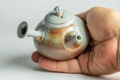 Taisuke Shiraiwa Yohen Kyusu  - 160ml (levoruká)