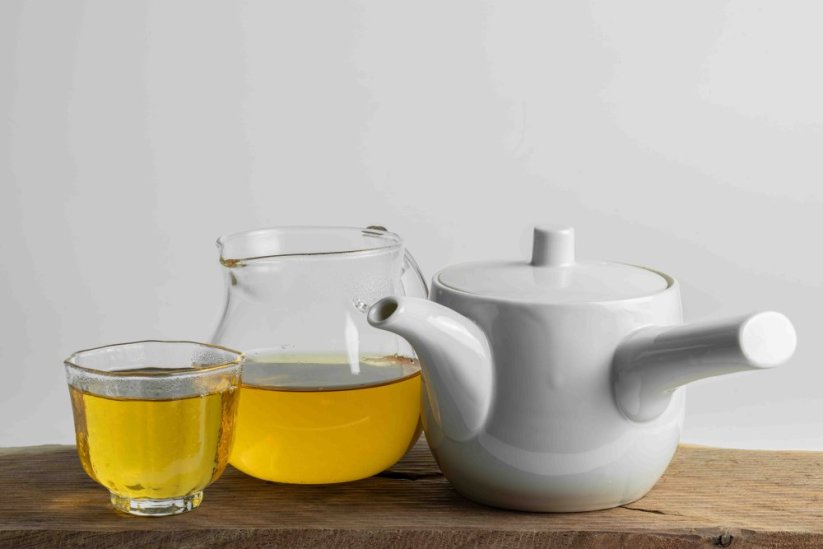 Mino Ware Porcelain Kyusu - 300ml