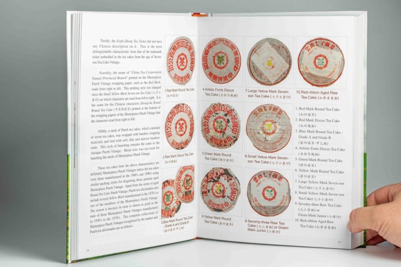 First Step to Chinese Puerh Tea