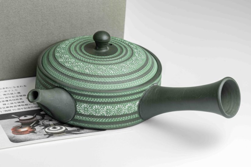 Teruyuki Isobe Hira Kyusu - 170ml