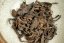 Chiang Rai Gushu Shu Cha 1/2025 - 50g
