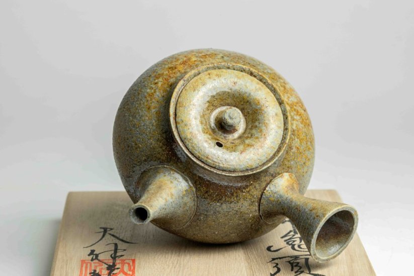 Taisuke Shiraiwa Yohen Kyusu  - 240ml