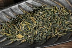 Kagoshima Ao Hojicha Kaguwashi 2025 - 50g