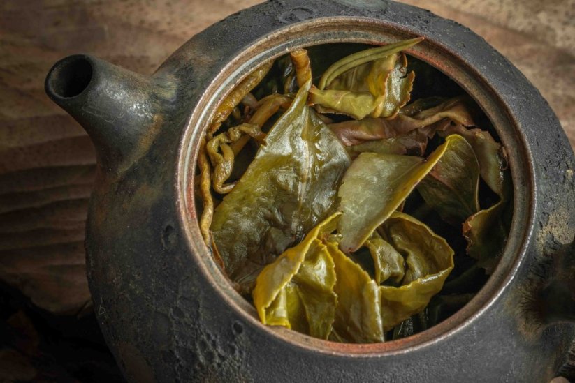 High Mountain Honey Chin Xin 2025 - 50g