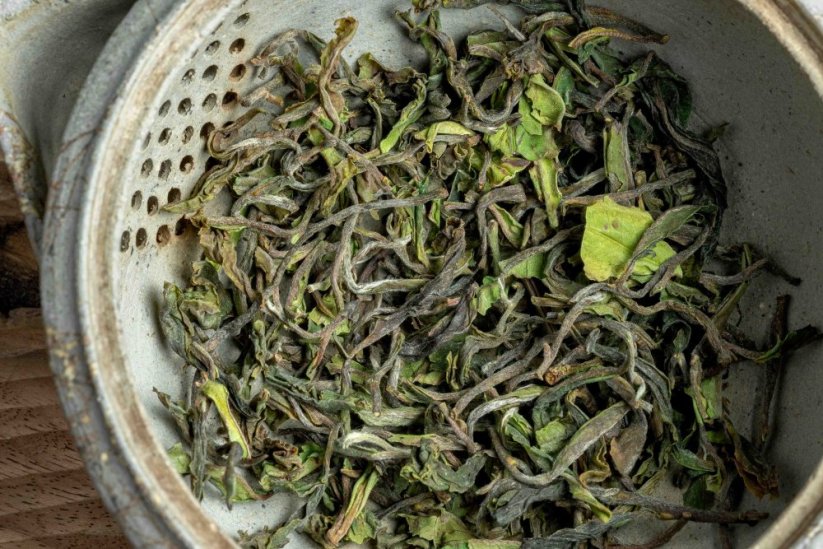 Darjeeling Giddapahar Clonal Wonder FF2026 - 50g