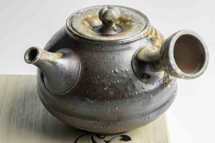 Taisuke Shiraiwa Yohen Kyusu  - 190ml