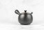 Chikushun Kyusu - 600 ml