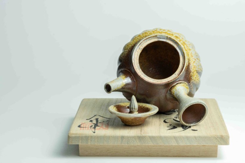 Taisuke Shiraiwa Yohen Kyusu  - 150ml