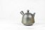 Koji Iwase Kyusu - 155 ml