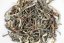 Rohini Silver Beauty Oolong Summer 2025 - 50g