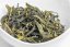 Java T27 - Single Cultivar Oolong 1/2025 - 30g