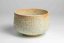Mizuki Shino Ware Chawan no.1