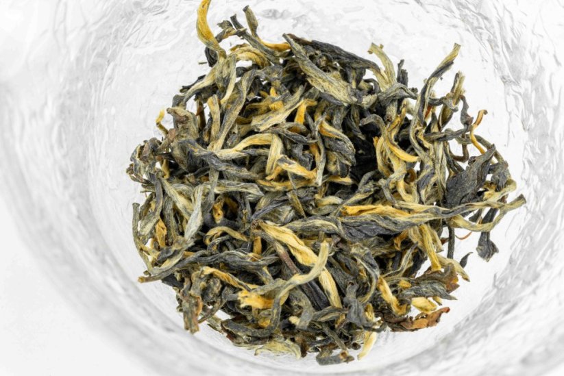 Kenya Rhino 2026 - 30g