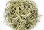 Kenya Silver Needles 2025 - 30g
