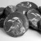 Dark Raven - Chiang Rai Gushu Shu Cha 2025 - 100g