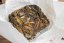 Zuo Ruyu Zhangping Shui Xian Oolong/White Blend 2022 - 8g