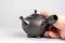 Koshin Marble Seaweed Kyusu - 230ml