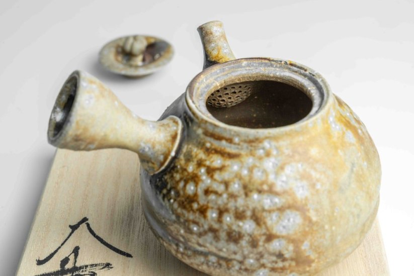 Taisuke Shiraiwa Yohen Kyusu  - 190ml