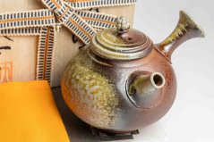 Taisuke Shiraiwa Yohen Kyusu - 170ml