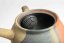 Mori Iroku IV Yohen Kyusu - 130ml
