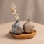 Kintsugi Bio Repair Kit: Gold & Silver