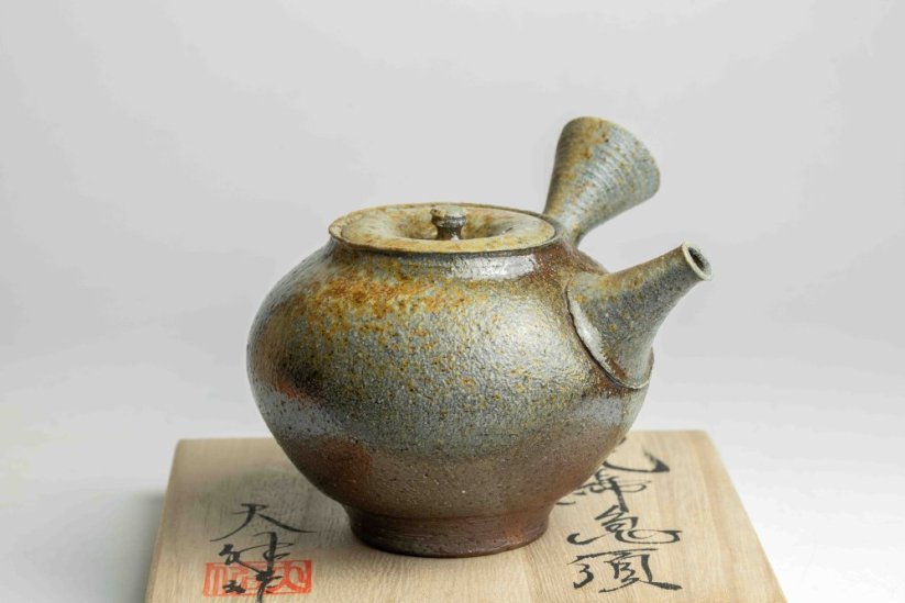 Taisuke Shiraiwa Yohen Kyusu  - 240ml