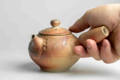 Kyusu Earth No.2 - 280ml