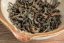 Haibara Koushun Black FF2025 - 30g