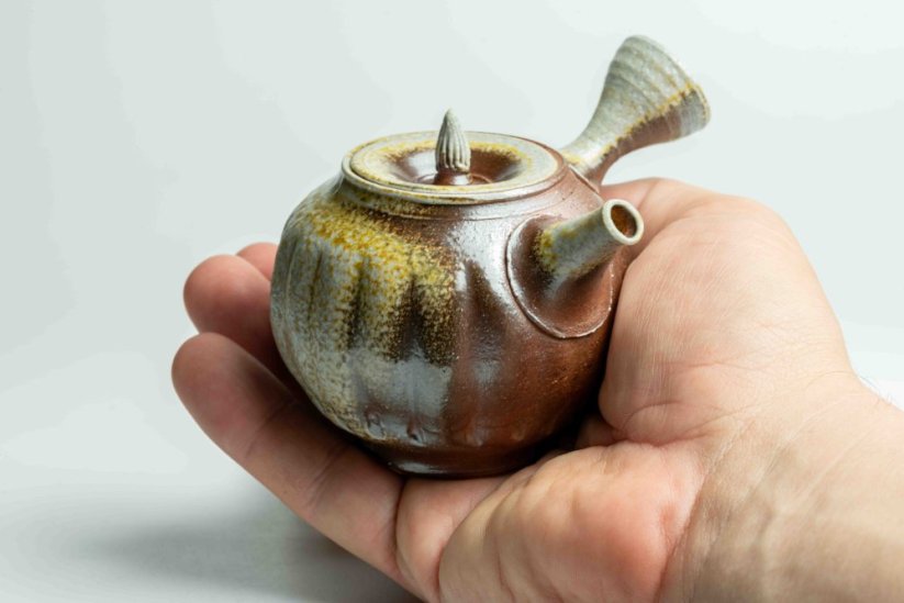 Taisuke Shiraiwa Yohen Kyusu  - 150ml