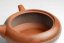 Mori Iroku III Diamond Cut Kyusu - 200ml
