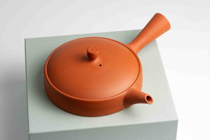 Jinshu Hira Shudei Kyusu - 100ml