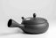 Tamamitsu Umehara Black Hira Kyusu - 230ml