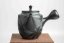 Seiho - Tsuzuki Takao - Momiji Kyusu - 220 ml