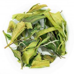 Qi Yun TTES.23 PQM 2025 - 50g