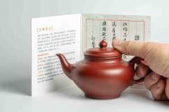 Huanglongshan Zhuni Clay Teapot - 250ml