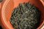 Haibara Yabukita Gaba Oolong 2025 - 50g