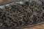 Zuo Ruyu I-Lan Aged Golden Bud Oolong 2014 - Váha: 30g