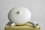Junzo Maekawa White Hira Kyusu - 120ml