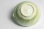 Shiboridashi Grass - 130 ml
