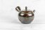 Gyokuryusaku Kyusu - 140 ml