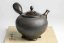 Koshin Marble Seaweed Kyusu - 300ml